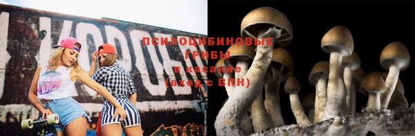 кристаллы Горняк