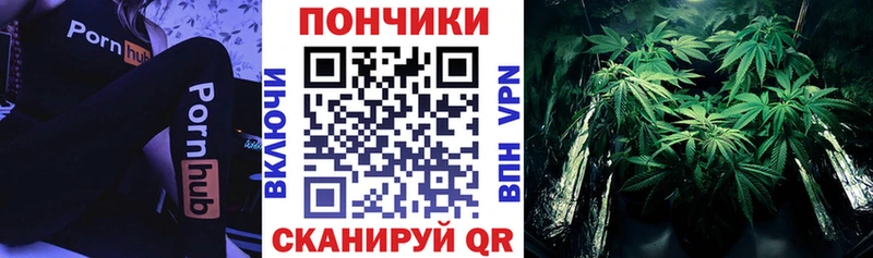 Купить закладки  Курильск  Конопля SATIVA & INDICA 
